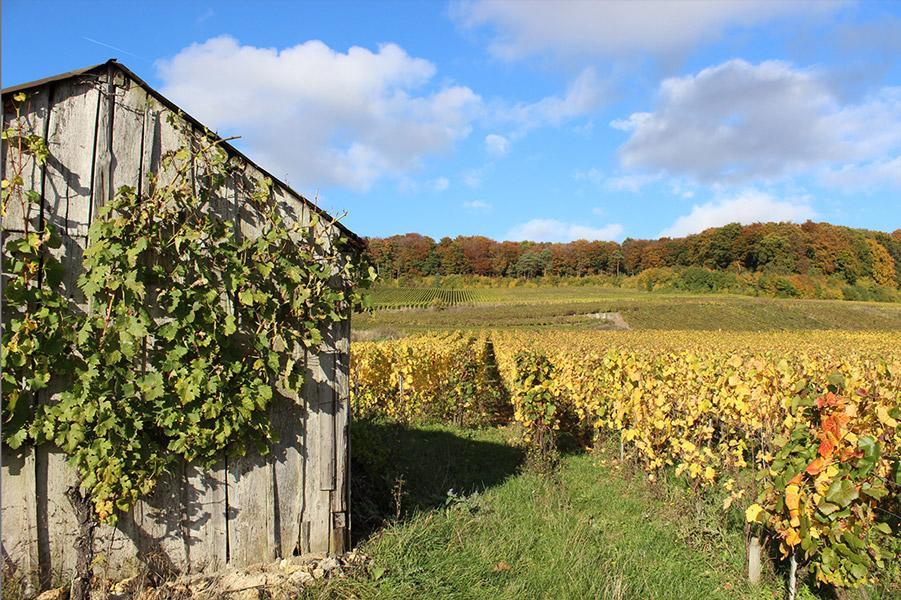 Gite Du " Bas Du Cru " Villa Romery  Bagian luar foto
