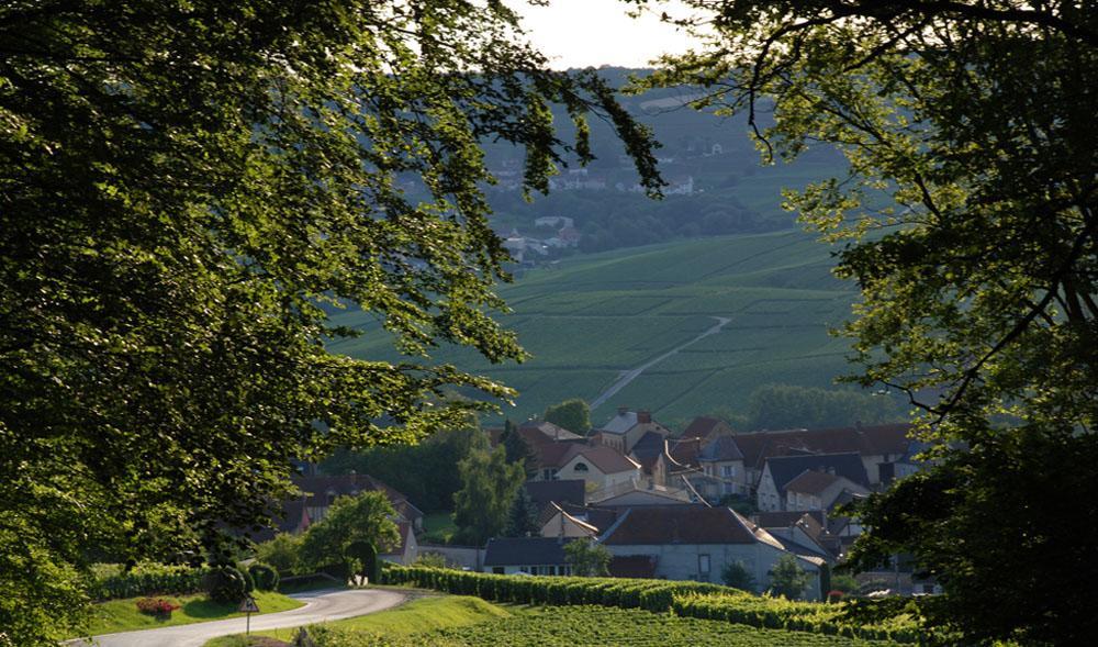 Gite Du " Bas Du Cru " Villa Romery  Bagian luar foto